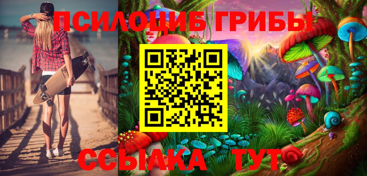 Галлюциногенные грибы Psilocybine cubensis  Вход с VPN  Можайск 